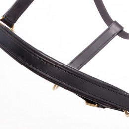 Kavalkade Leather Halter Cinta