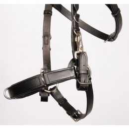 Leather lunging bridle / Cavesson
