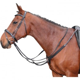 Harry's Horse Elastic Breast plate