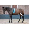 Harry's Horse Lunging support system
