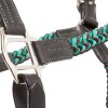 Kavalkade Braided Leather Halter Tessa
