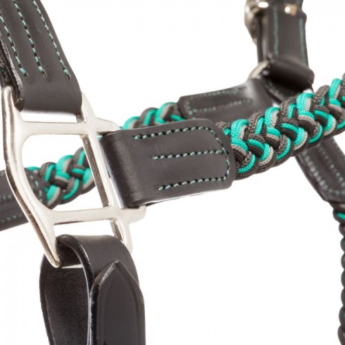 Kavalkade Braided Leather Halter Tessa