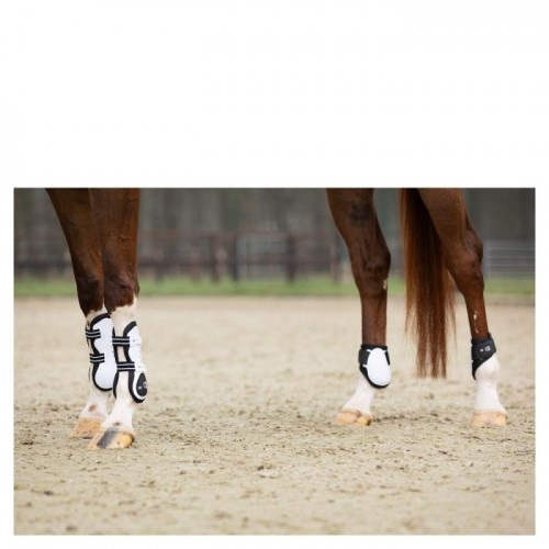 BR XO2 Tendon Boots