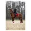 BR fetlock boots XO2