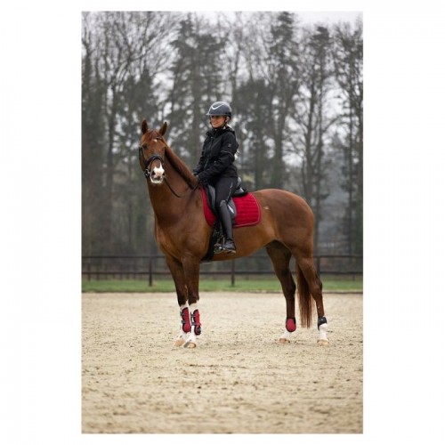 BR fetlock boots XO2
