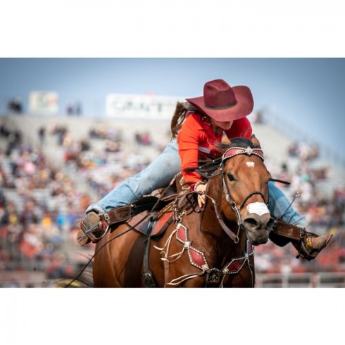 Flair Equine Nasal strips