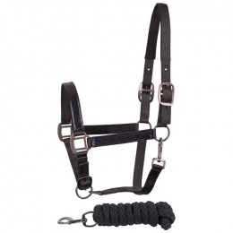 Harry's Horse Headcollar and lead Metallic II