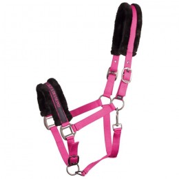 Harry's Horse Halster Lyrics Quotes