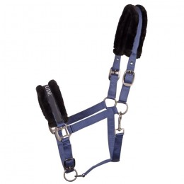 Harry's Horse Halster Lyrics Quotes