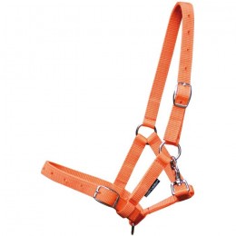 Harry's Horse Foal Headcollar