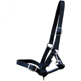 Harry's Horse Foal Headcollar