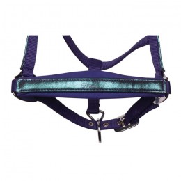 Harry's Horse SS25 Halsterset Diva Violet