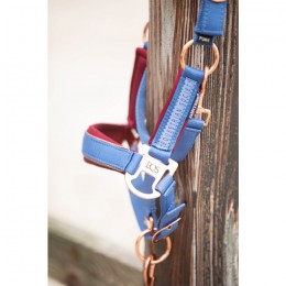 Harry's Horse FW'24 Halter Set Kirchberg