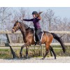 QHP Bareback Pad