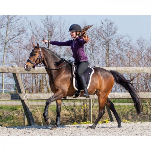 QHP Bareback Pad
