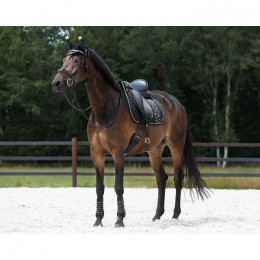 QHP Saddle Pad Celebrate