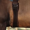 QHP all-purpose girth Air Mesh