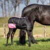 Harry's Horse Foal rug TwoTone