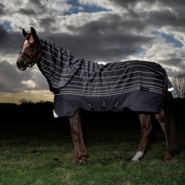 Amigo Bravo 12 Plus 100g - Reflectech