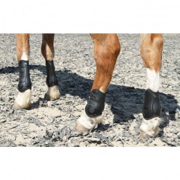 Harry's Horse Fetlock boots Percy air