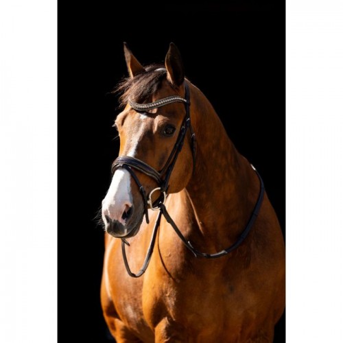 HB Showtime Bridle Jump Rocky Glitter