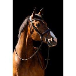 HB Showtime Bridle Jump Patent