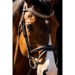 HB Showtime Bridle Jump Patent