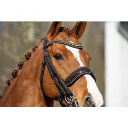 HB Showtime Double Bridle One in a Million