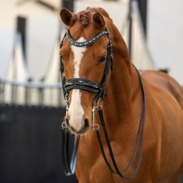 HB Showtime Double Bridle One in a Million