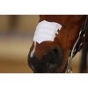 Flair Equine Nasal strips