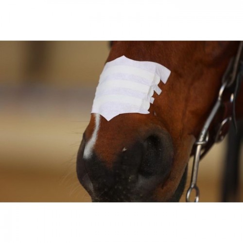 Flair Equine Nasal strips