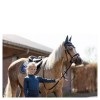 BR Mini Horse ear net