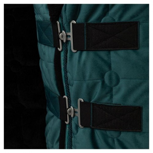 BR CLX show rug