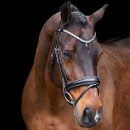 Imperial Riding FW'23 Bridle Olympia
