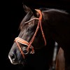 HB Showtime Bridle Chestnut