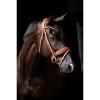 HB Showtime Bridle Ulani