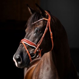 HB Showtime Bridle Ulani