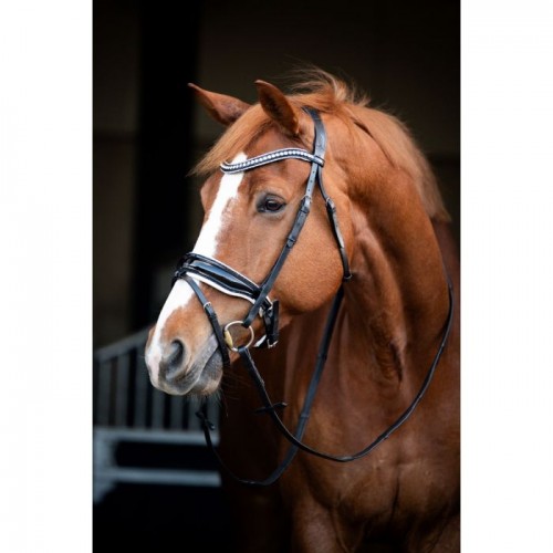 HB Showtime Bridle Snowflake