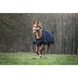 EQUI-THÈME Tyrex 600D Technique 300g rug