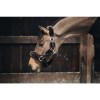 Kentucky Sheepskin Shipping Halter