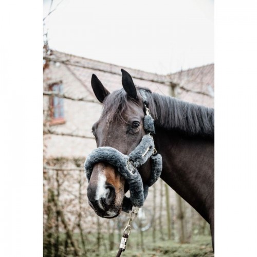 Kentucky Sheepskin Shipping Halter