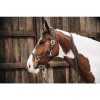 Kentucky Plaited Nylon Dog
