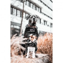 Kentucky Dog Coat Fake Fur