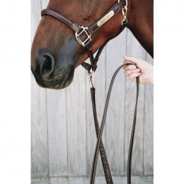 Kentucky Leather Covered Chain Lead