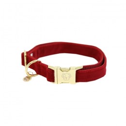 Kentucky Dog Collar Corduroy