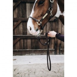 Kentucky Lead Rope Loop