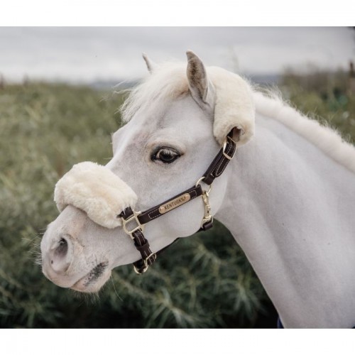 Kentucky Leather Halter Sheepskin