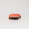 Kentucky Dog collar Jacquard
