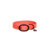 Kentucky Dog Collar Soft Rubber
