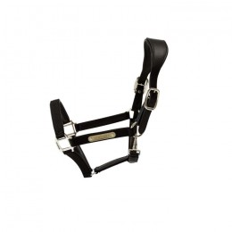 Kentucky Nylon Anatomic Halter